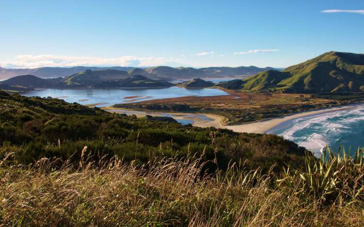 Allans Beach - New Zealand