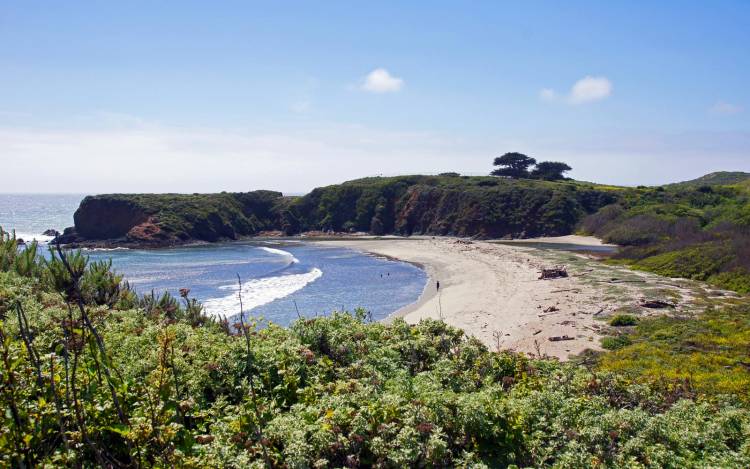 Andrew Molera State Park Beach - USA