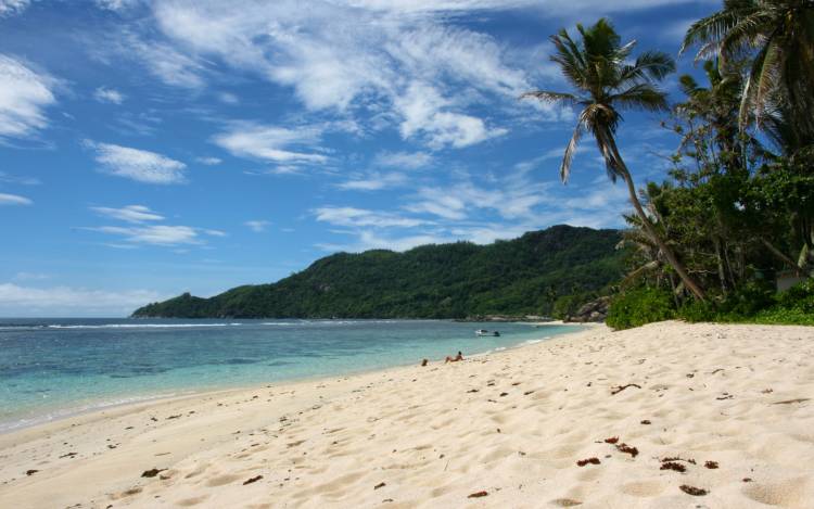 Anse Forbans Beach - Seychelles