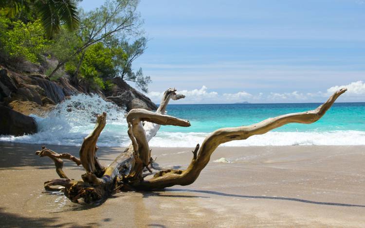 Anse Major Beach - Seychelles