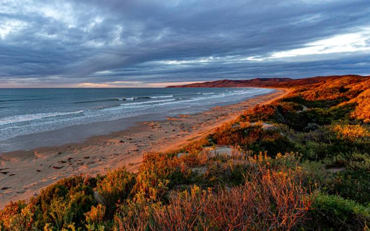 Bakers Beach - Australia