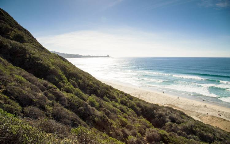 Black's Beach - USA