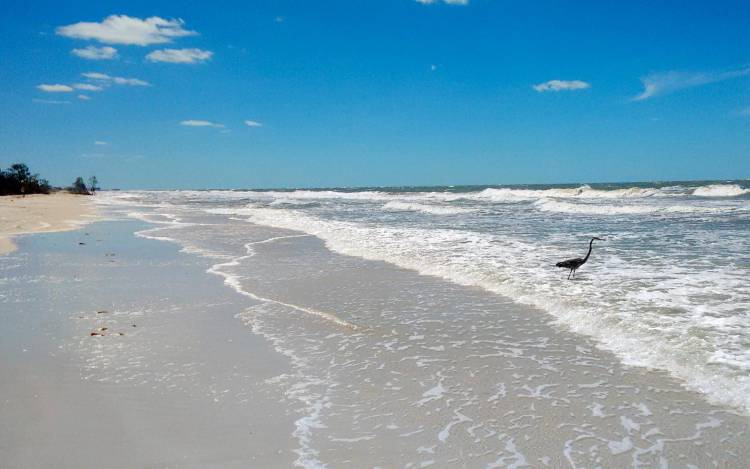 Caladesi Island State Park Beach - USA