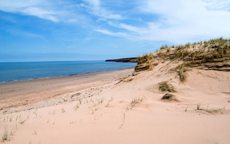 Cavendish Beach