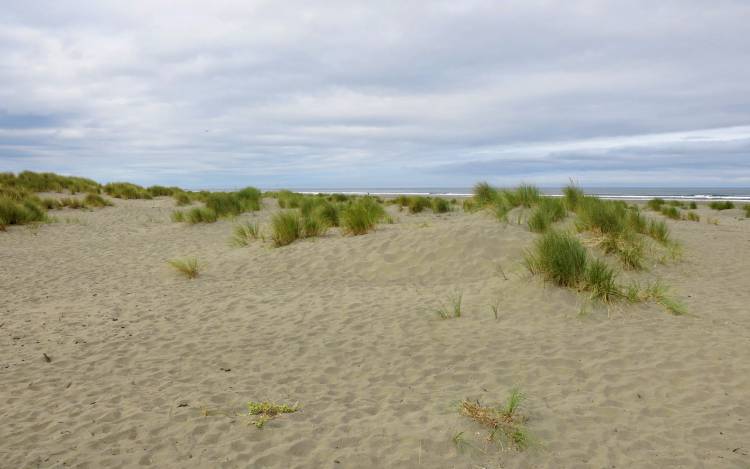 Clam Beach - USA