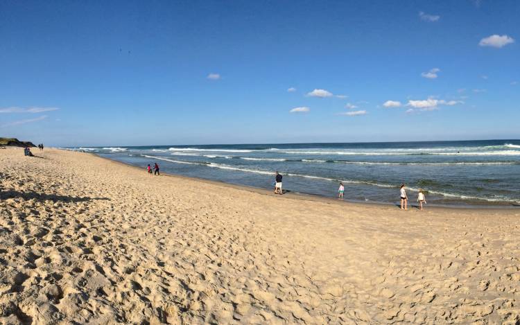 Coast Guard Beach - USA