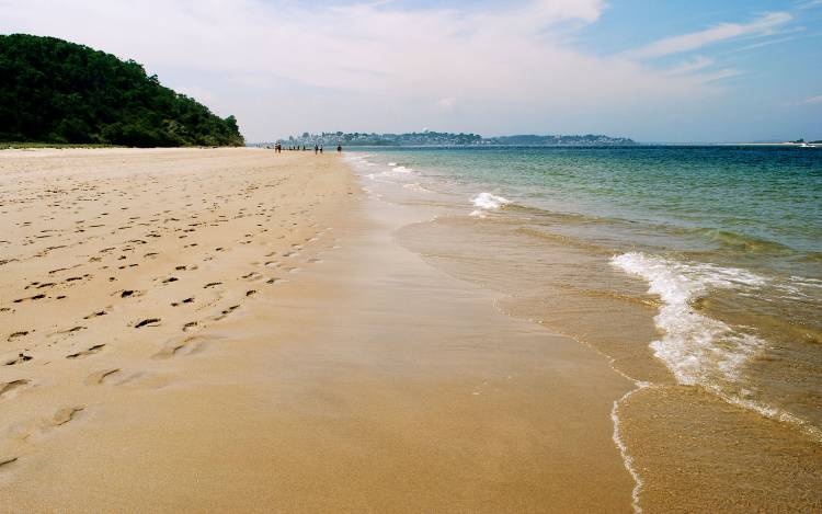 Crane Beach - USA