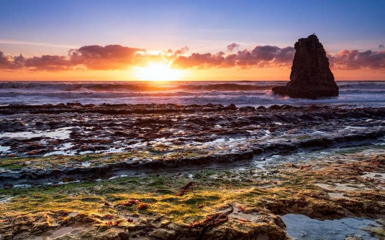 Davenport Beach - USA