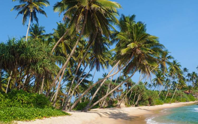 Dikwella Beach - Sri Lanka