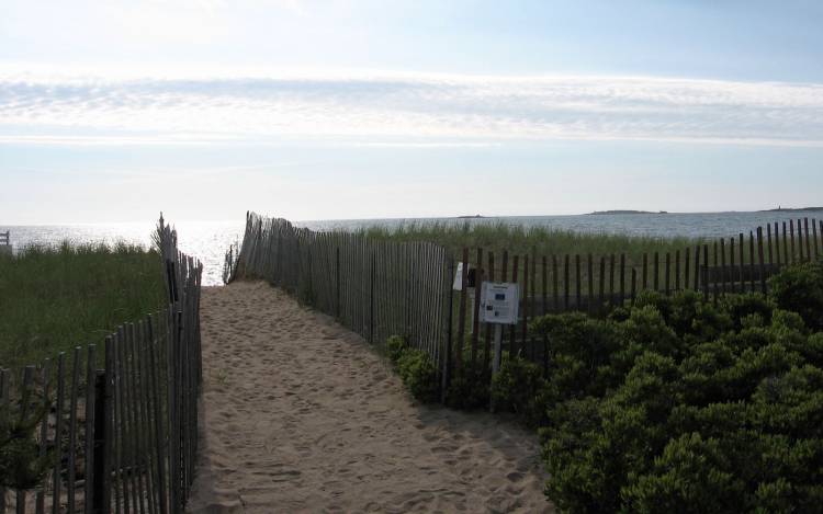 Ferry Beach - USA