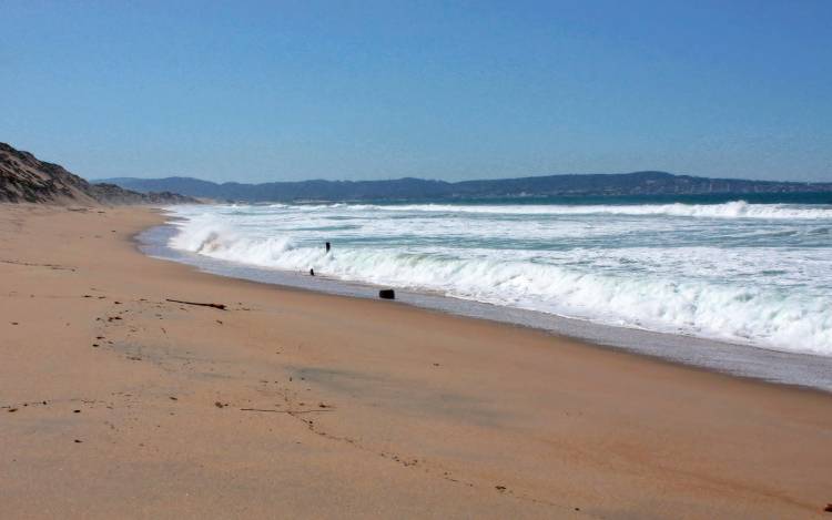 Fort Ord Dunes State Park Beach - USA