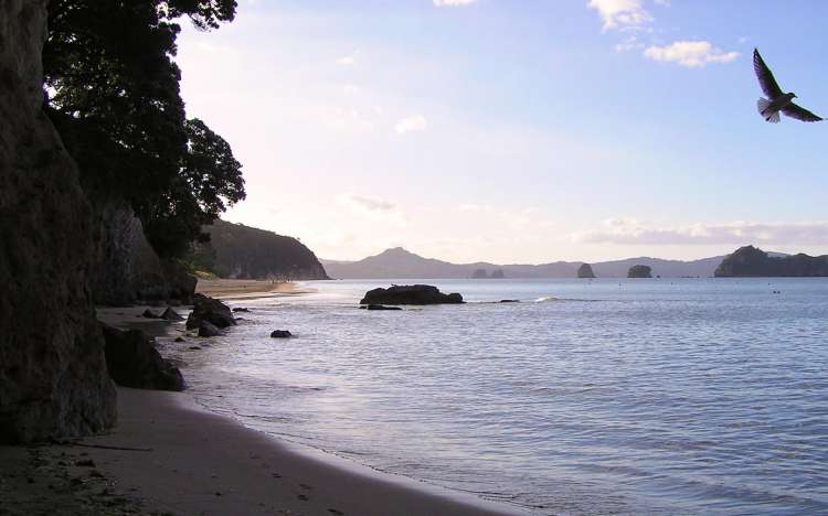 Hahei Beach - New Zealand