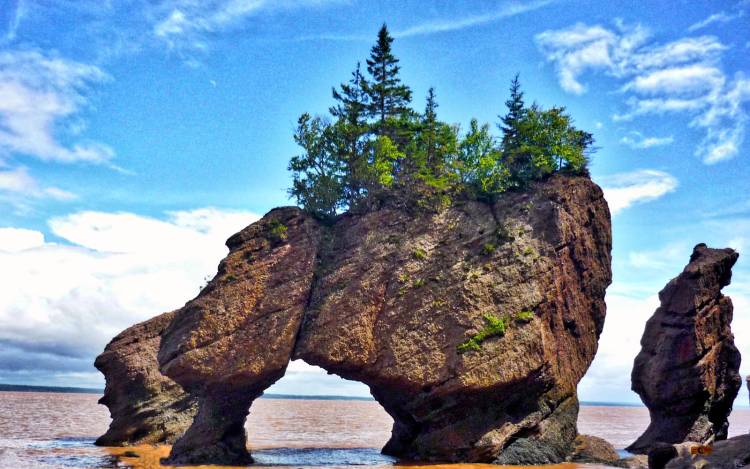 Hopewell Rocks Beach - Canada