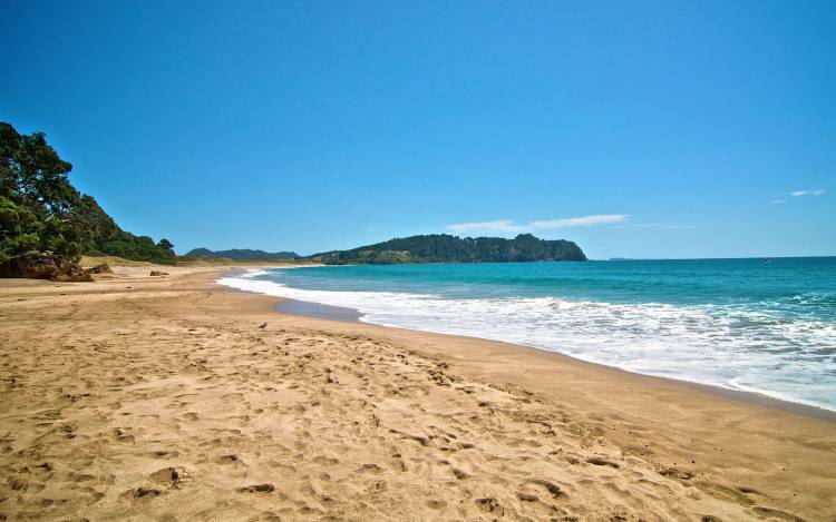 Hot Water Beach - New Zealand