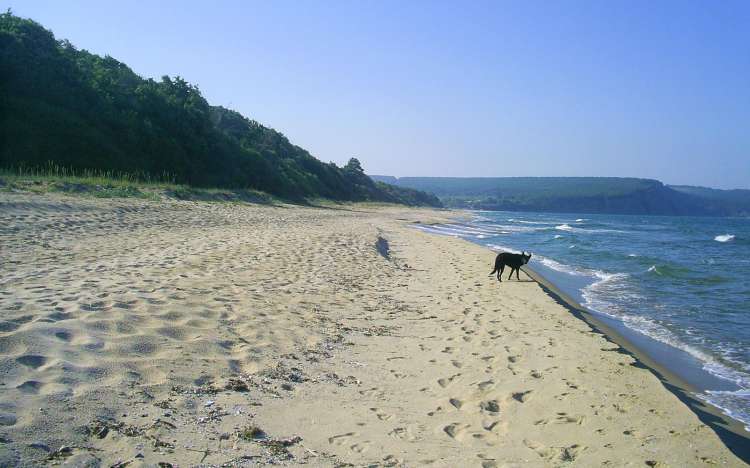 Irakli Beach - Bulgaria