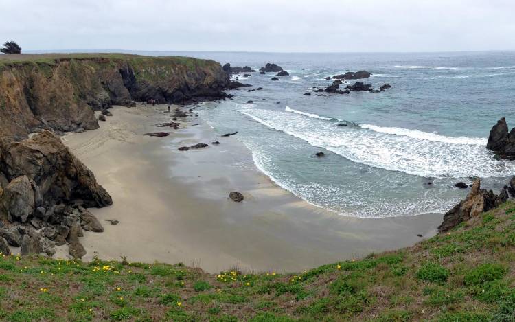 Jug Handle State Natural Reserve Beach - USA