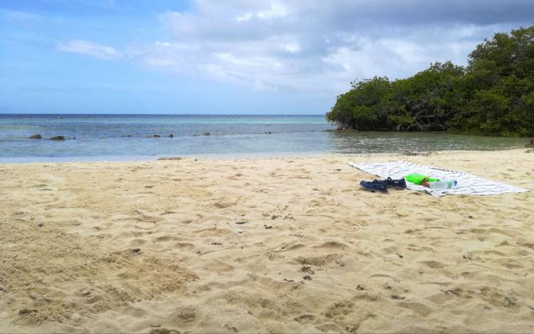 Mangel Halto Beach - The Caribbean