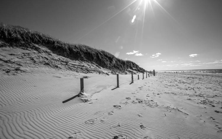 Mayflower Beach - USA