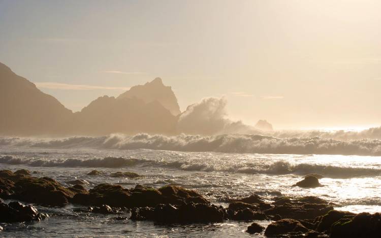 McClures Beach - USA