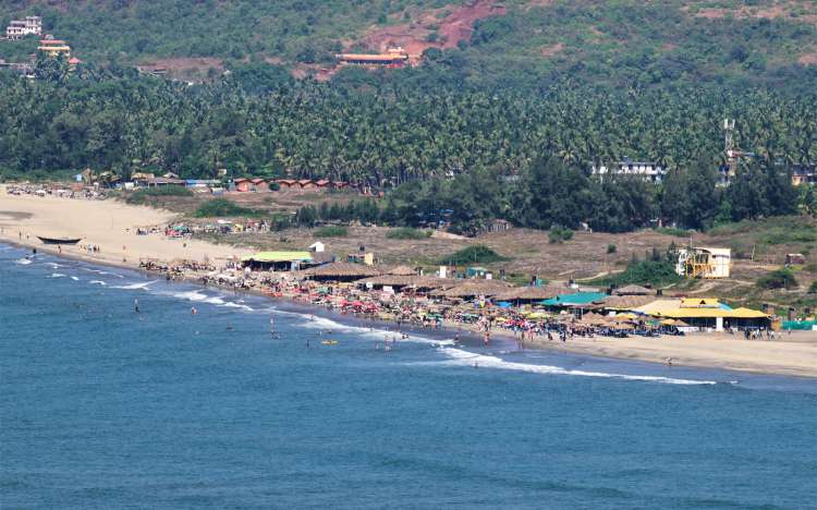 Morjim Beach - India