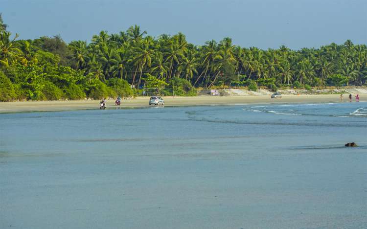 Muzhappilangad Beach