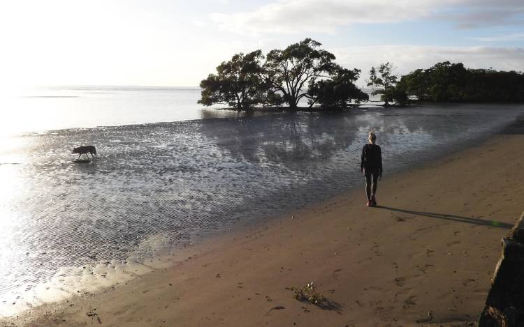 Nudgee Beach - Australia