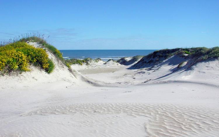 Padre Island National Seashore Beach - USA