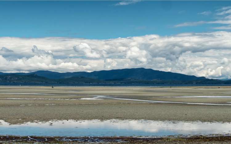 Parksville Beach