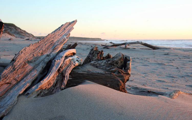 Pescadero State Beach - USA