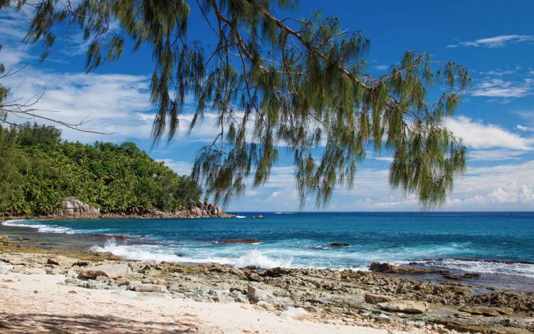 Petit Police Beach - Seychelles