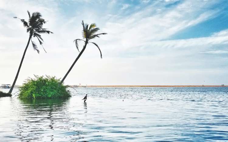 Poovar Beach - India