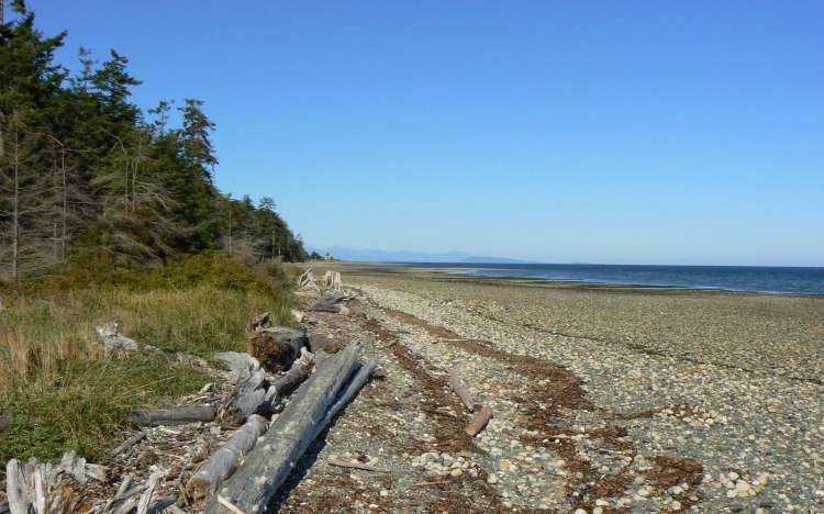 Rathtrevor Beach - Canada