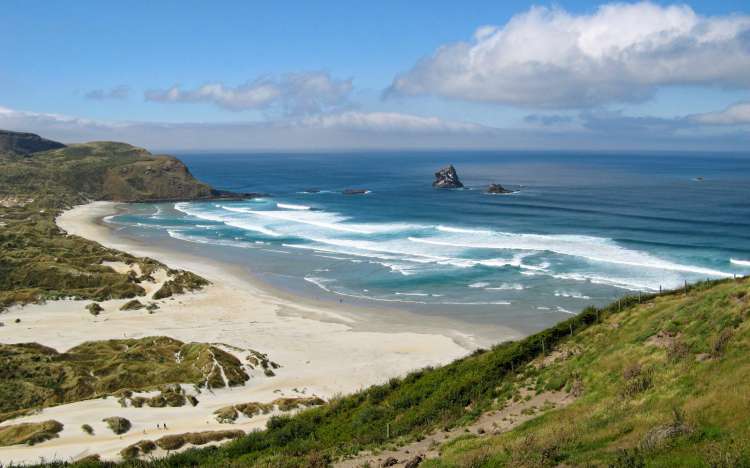 Sandfly Beach - New Zealand