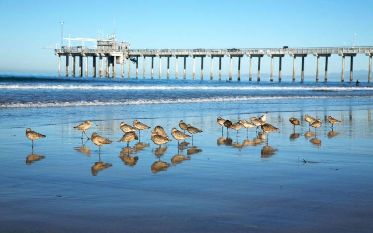 Scripps Beach - USA