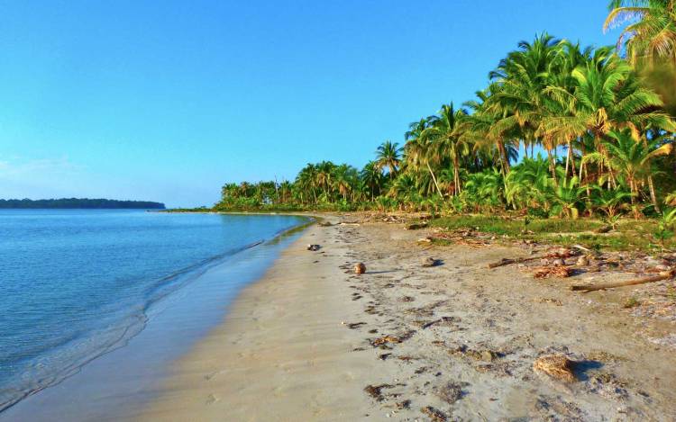 Starfish Beach - Panama