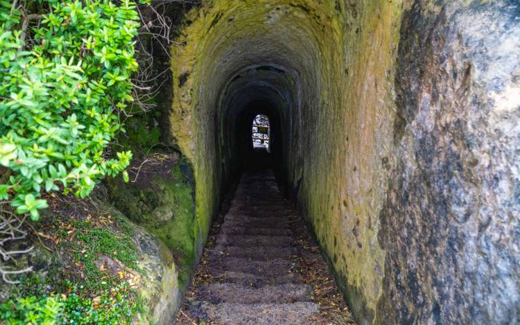 Tunnel Beach - New Zealand