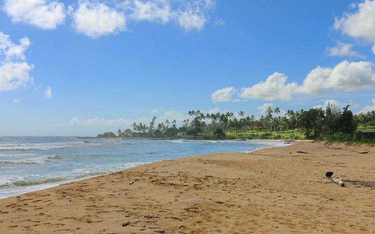 Wailua Beach - USA