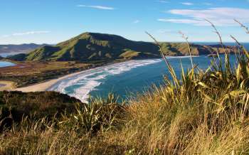 Allans Beach - New Zealand