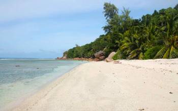 Anse Gaulettes Beach - Seychelles