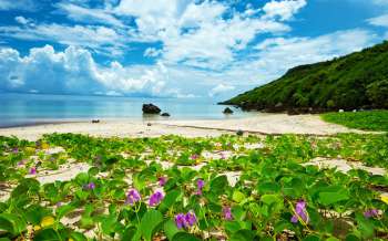 Aragusuku Beach - Japan