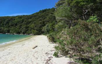 Bark Bay - New Zealand