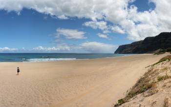 Barking Sands Beach - USA