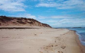 Blooming Point Beach - Canada