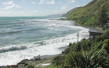 Brendan Beach - New Zealand