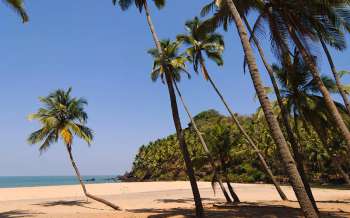 Cabo de Rama Beach - India