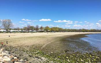 Calf Pasture Beach - USA