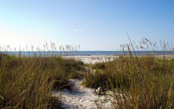 Cape San Blas Beach - USA