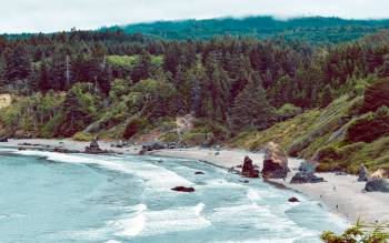 College Cove Beach - USA