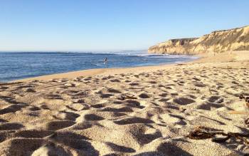 Cowell Ranch Beach - USA