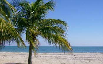 Crandon Beach - USA